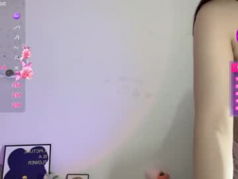 _flipped_ webcam model stream image