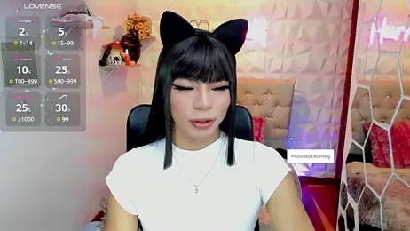 hurrencam webcam model stream image