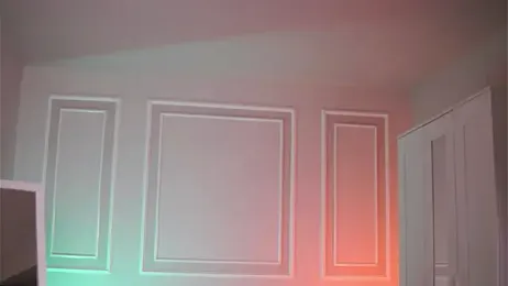 EvaZane webcam model stream image