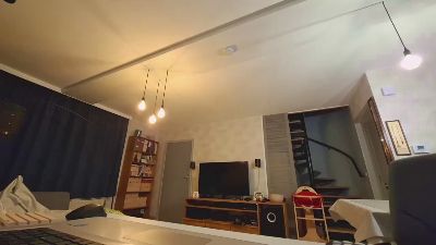 Goflame webcam model stream image