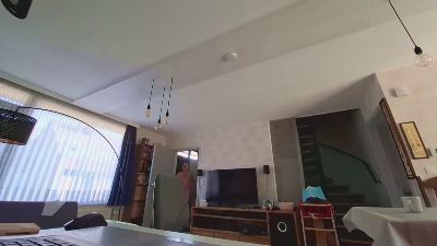 Goflame webcam model stream image