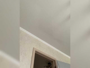 Inubis077 webcam model stream image
