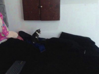 Skinny_sweet24 webcam model stream image