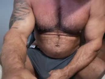 donk566 webcam model stream image