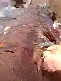 hotboy2x webcam model stream image