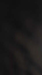 BiInTrier webcam model stream image