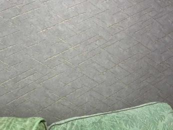 rinvega webcam model stream image