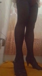 Sofia2024cl webcam model stream image