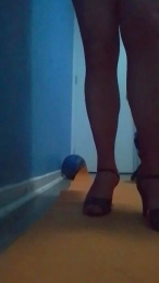 Sofia2024cl webcam model stream image