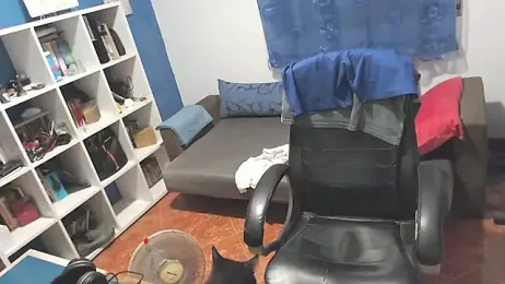 ravingr4d4 webcam model stream image