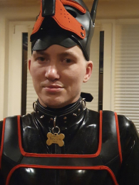 puppydraco_sexy webcam model stream image