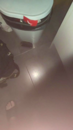 erbcn webcam model stream image