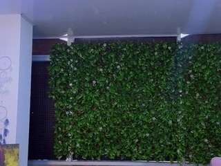 lia-assholeorange webcam model stream image