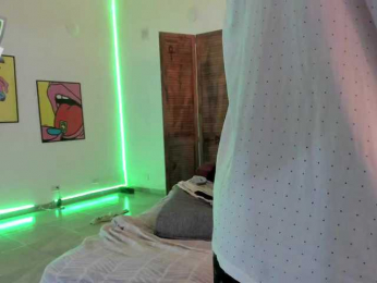 classied webcam model stream image