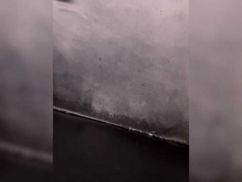 bitch_production webcam bongacams model stream image