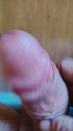 Sentimen webcam model stream image