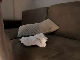 jessicaconnor webcam model stream image