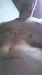Tattooboy_19 webcam cam4 model stream image