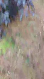 Rysissyboi webcam model stream image