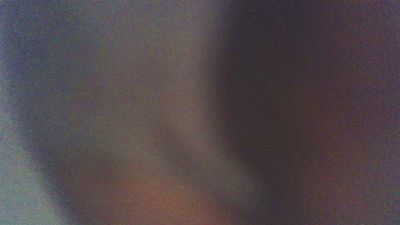 HotDogXL webcam model stream image