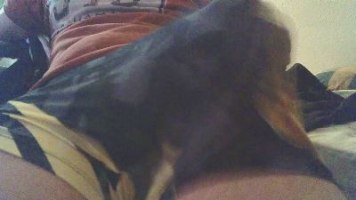 HotDogXL webcam model stream image