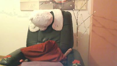 Algo829 webcam model stream image