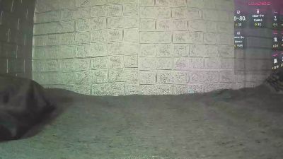 fernando_tlk webcam model stream image