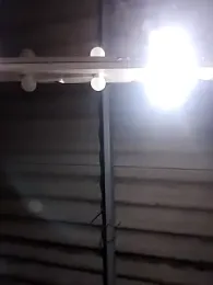 DannaDooll99 webcam model stream image