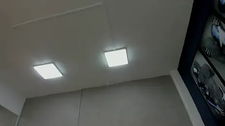 Charlie___Musk webcam model stream image