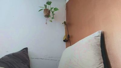 Thiebaud webcam model stream image