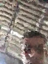 fran777775 webcam stripchat model stream image