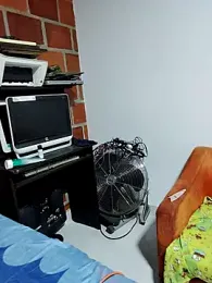 Perropa webcam model stream image