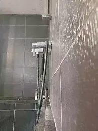 Dadaetmelo webcam model stream image