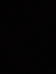 DARG_17 webcam model stream image
