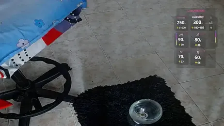 break9inch webcam model stream image