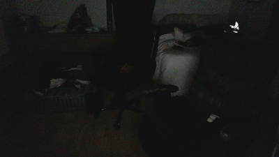 flockhart webcam model stream image