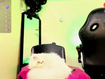 _rosedewitt_ webcam model stream image