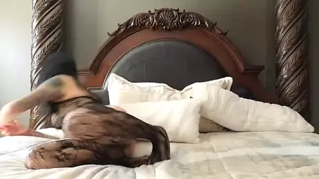 AllOiledUp webcam stripchat model stream image