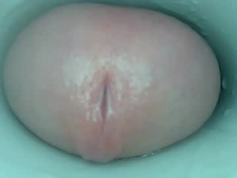 jeffrodgerschaturbat webcam model stream image