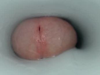 jeffrodgerschaturbat webcam model stream image