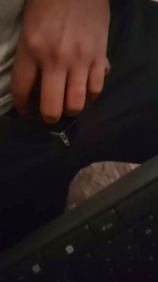 brunoHome4 webcam model stream image