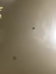 MEOW_MEO webcam stripchat model stream image