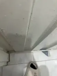 cataafitt webcam model stream image