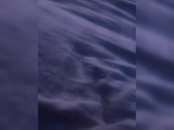FODFOD webcam model stream image
