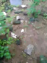priyabhabhi_99 webcam model stream image