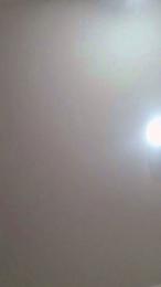 mica224 webcam model stream image