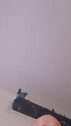 max77_hot webcam model stream image
