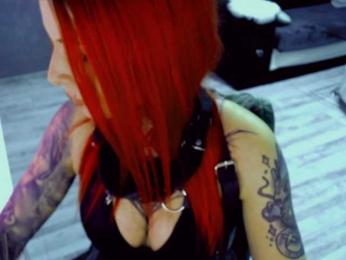 InesModel webcam preview