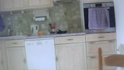 Suisavous webcam model stream image