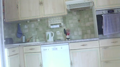 Suisavous webcam model stream image